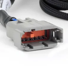 Haltech Nexus V8 Junior Timer (EV1) Injector Primary Breakou