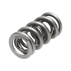 Manley Valve Spring 1.540 DOUBLE
