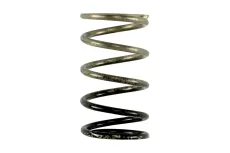 Turbosmart GenV IWG 3 PSI Spring