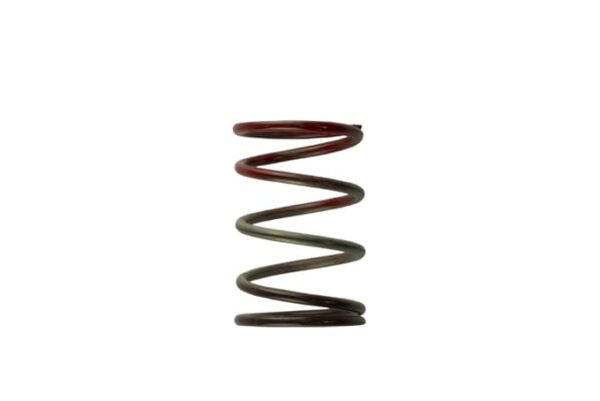 Turbosmart Gen4 / IWG WG38/40/45/50L 11PSI MIDDLE SPRING - BROWN/RED