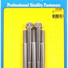"3/8""-16 x 4.000 12pt 7/16 wrenching SS bolts" (5pcs)