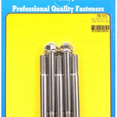 M10 x 1.25 x 100 hex SS bolts (5pcs)