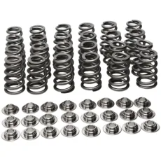 Manley Valve Spring Kit Spring/Retainer