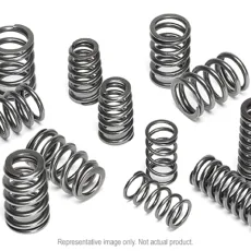Supertech Valve Spring Set BMW S85