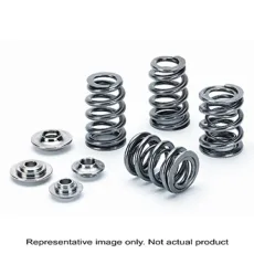 Supertech Valve Spring Kit Mini Tritec